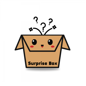 SURPRISE BOX